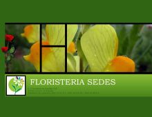 Floristeria Sedes