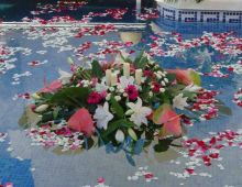 Flores Y Plantas Gema