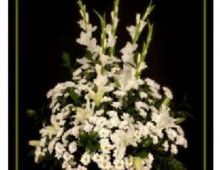 Floristerías Trébol