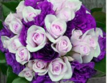 Floreas