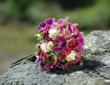 Bitxilore Floristas