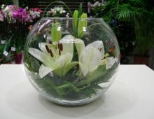 Noak Floristería