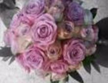 Floristeria Roselles I Roses