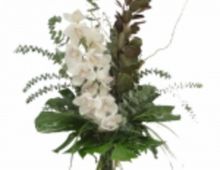 Floristeria Alberto Francia