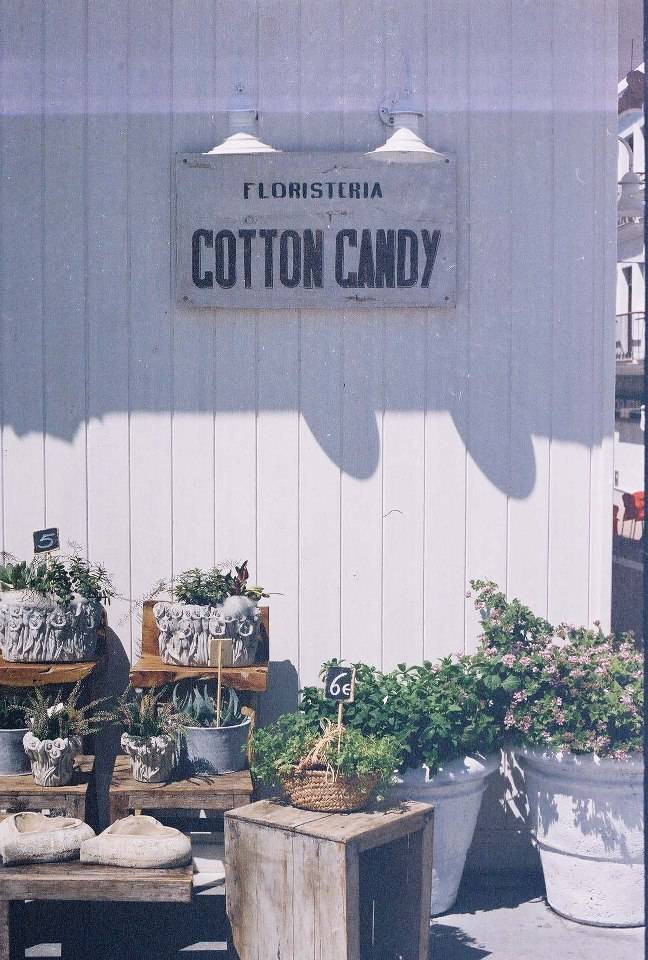 Cotton Candy & Cia.