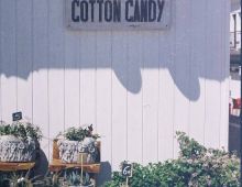 Cotton Candy & Cia.