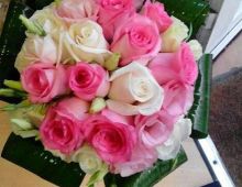 Flores Y Plantas Yoli
