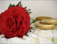 Elisabet Arte Floral