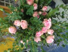 Kentia Servicios Florales