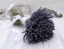 Lavanda Experience
