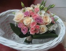 Floristeria Violetas
