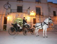 Yeguada Venta Del Potro
