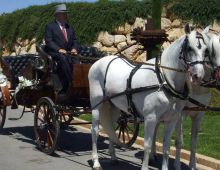 Carruatges De Cavalls Monistrol