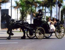 Centro Hípico El Manchón
