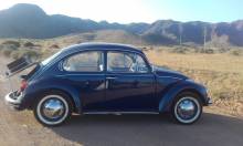 Alquiler VW Escarbajo