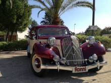 Ronni 1951