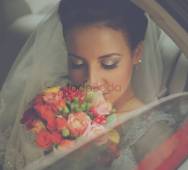 Anser Europe - Coches Para Bodas Con Chófer
