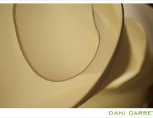 Dani Carretero