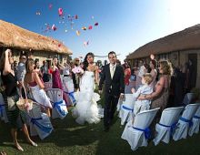 Vive La Boda