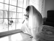 Imagenesdemiboda