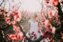 Bodas De Papel