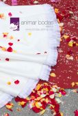 Animar Bodas - Video
